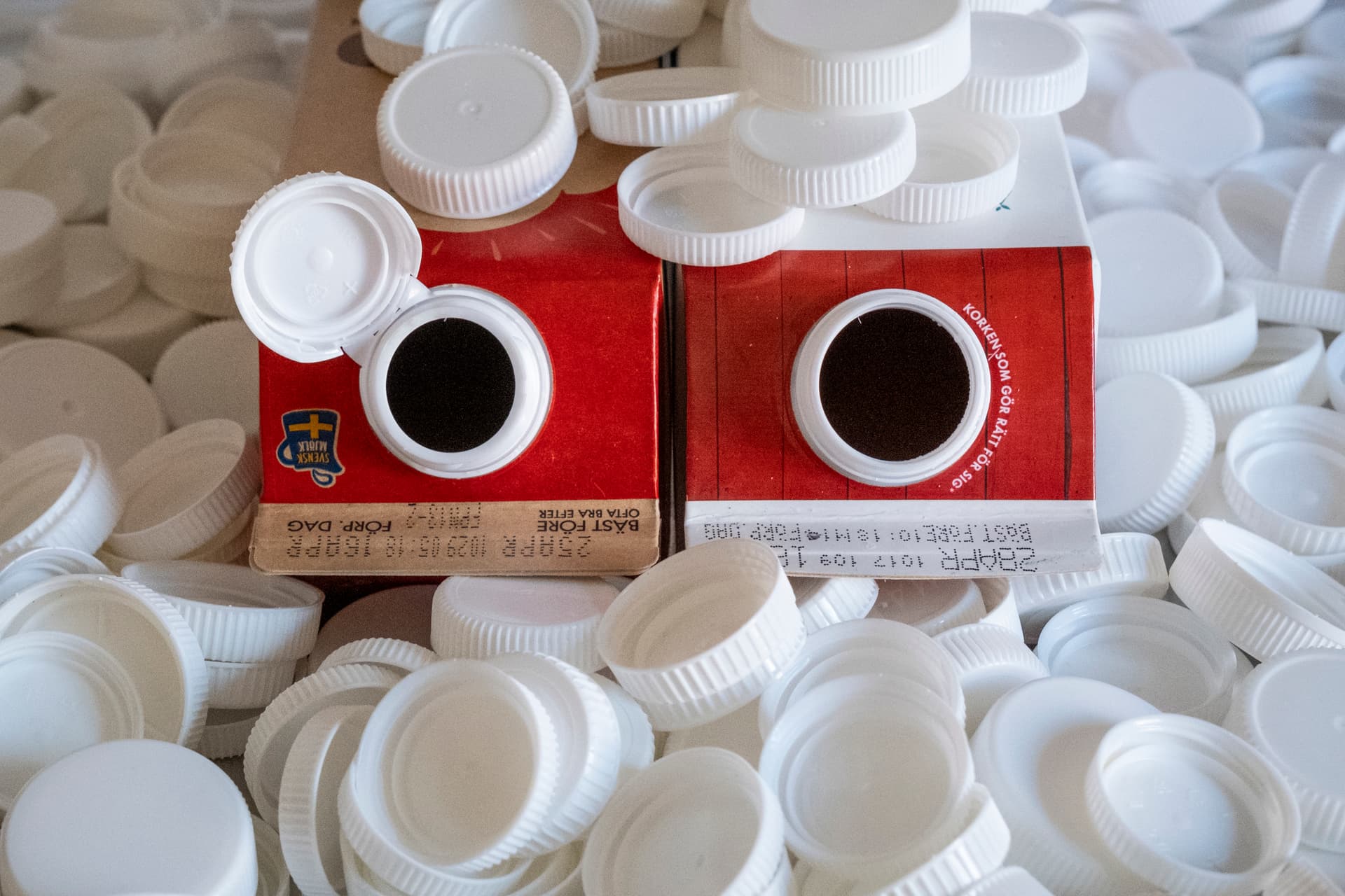 Örtexperten Alexandra De Paoli: Barr håller dig varm i vinter