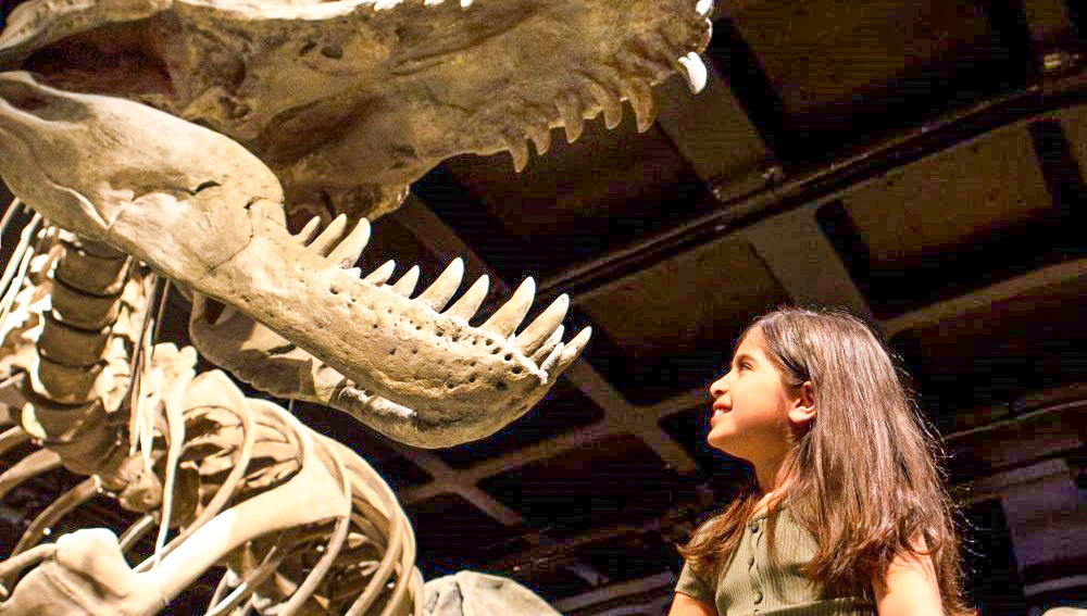 Naturhistoriska riksmuseet. Foto: Pressbild