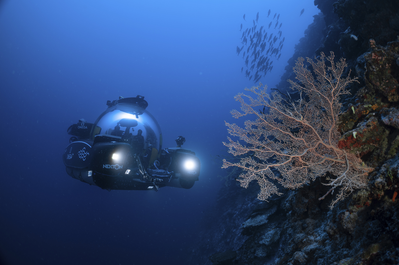 30 procent av haven ska skyddas till 2030, enligt det nya avtalet. Arkivbild. Foto: Ocean Census via AP Images