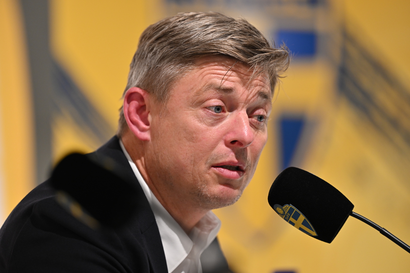 Jon Dahl Tomasson. Foto: Björn Larsson Rosvall/TT