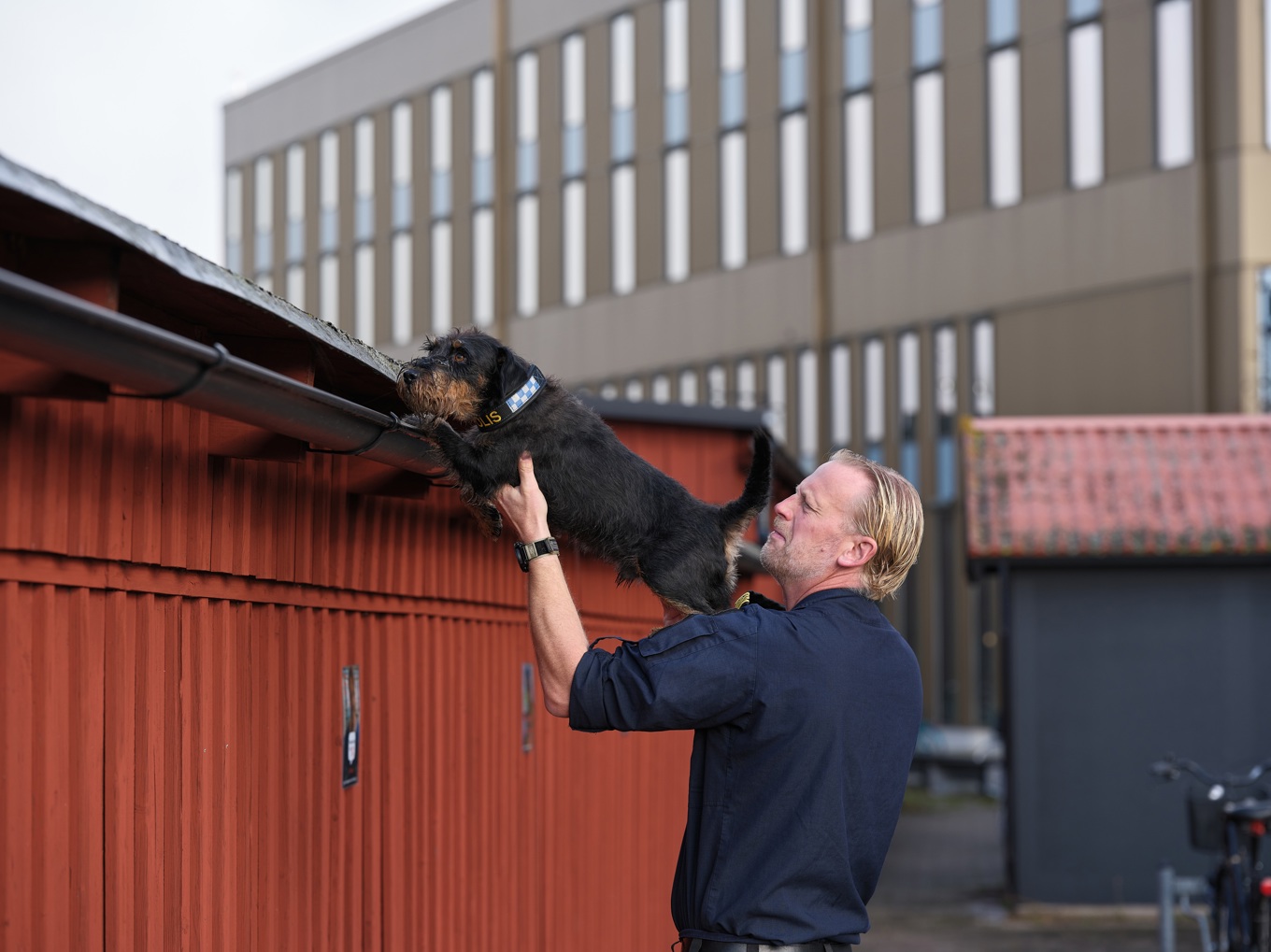 Den tyska jaktterriern Ivan tillsammans med sin förare Fredrik Lindqvist. Foto: Daniel Persson