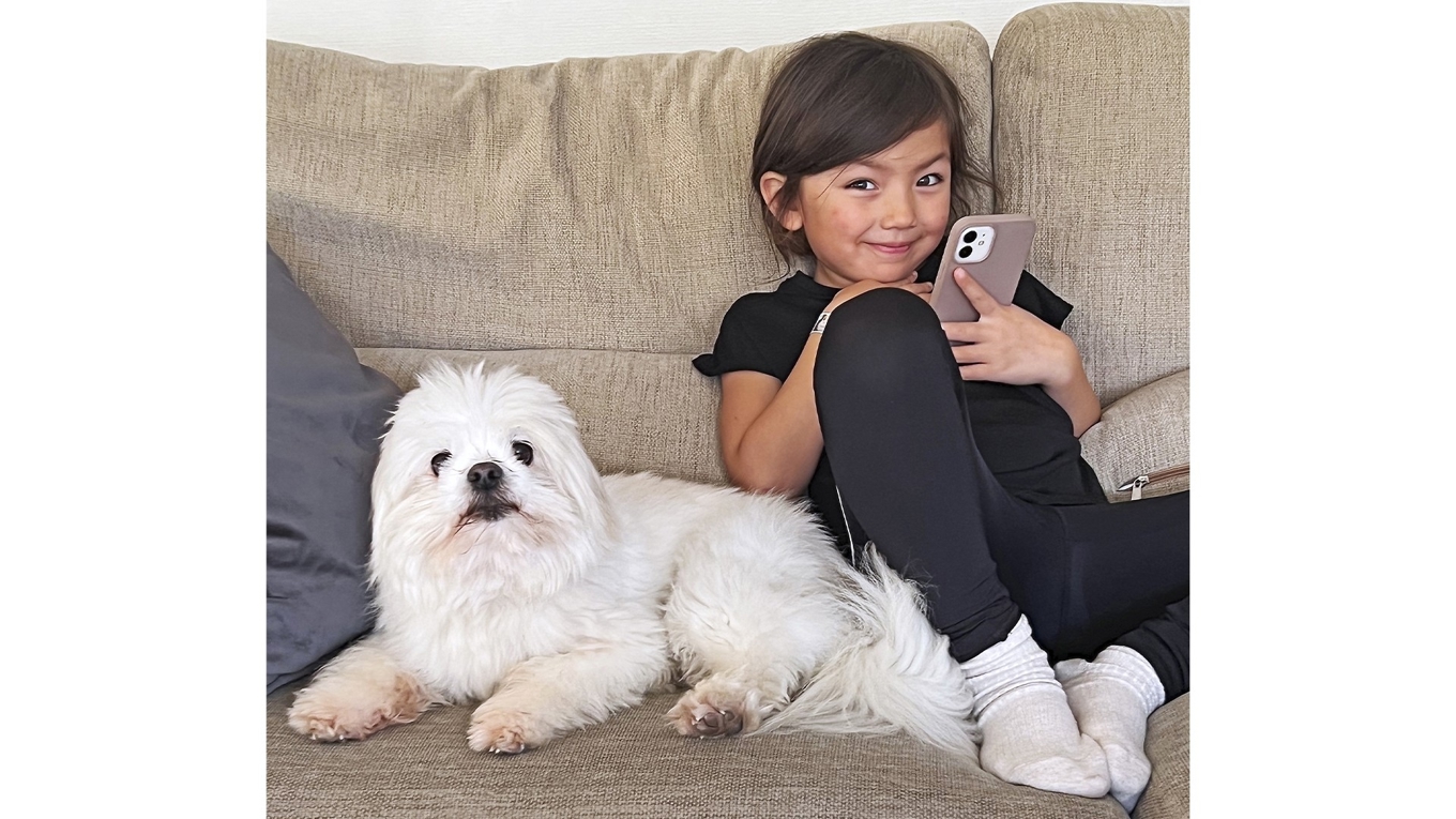 Nu utvecklas och testas preparat designade för att bromsa åldrandet hos hundar. Foto: Staffan Erfors