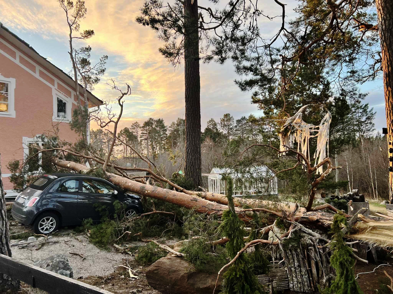 Nedfallna träd över en bil i Sörfjärden efter stormen Johannes framfart över norra Sverige. Foto: Mikaela Stoor/TT