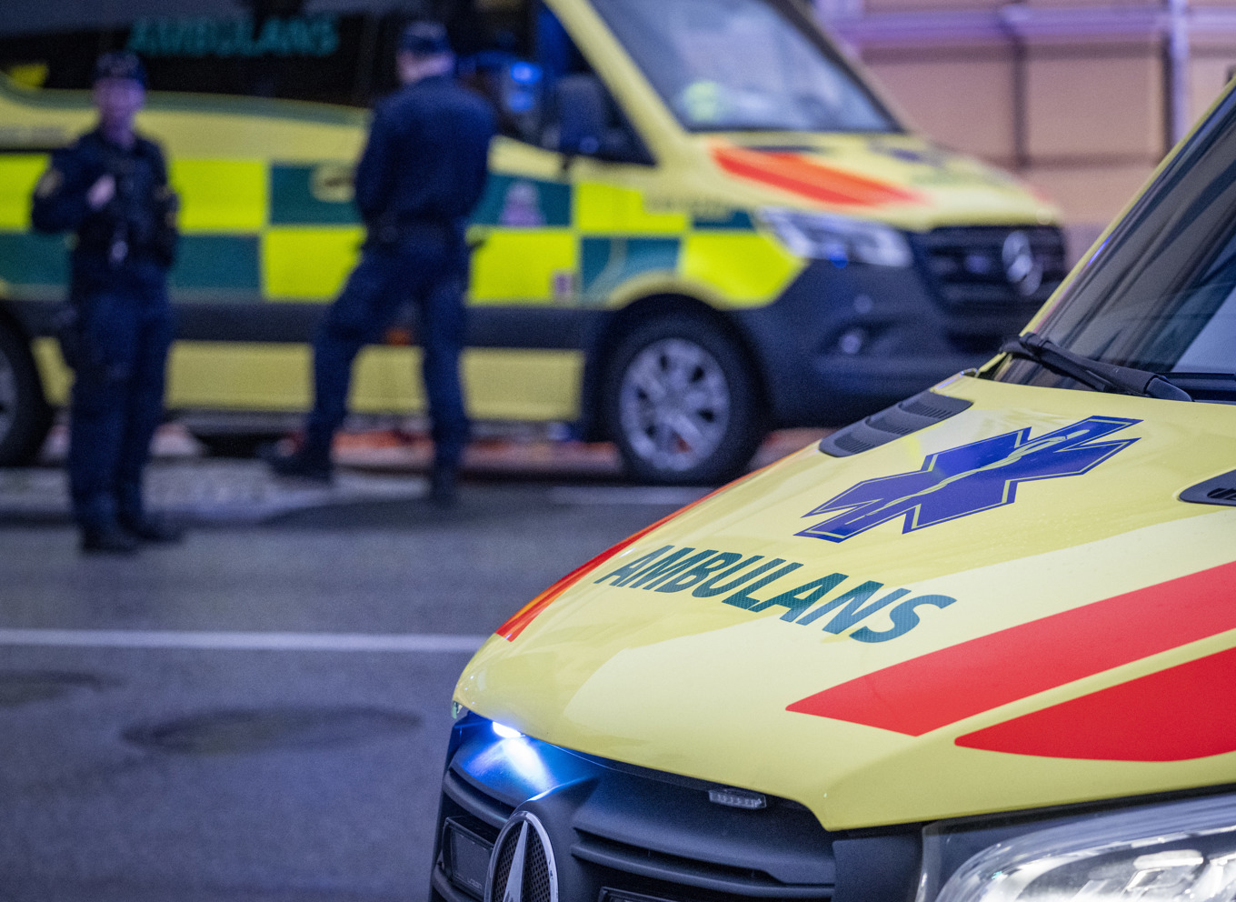 Mannen dök med ett sällskap. Arkivbild. Foto: Johan Nilsson/TT