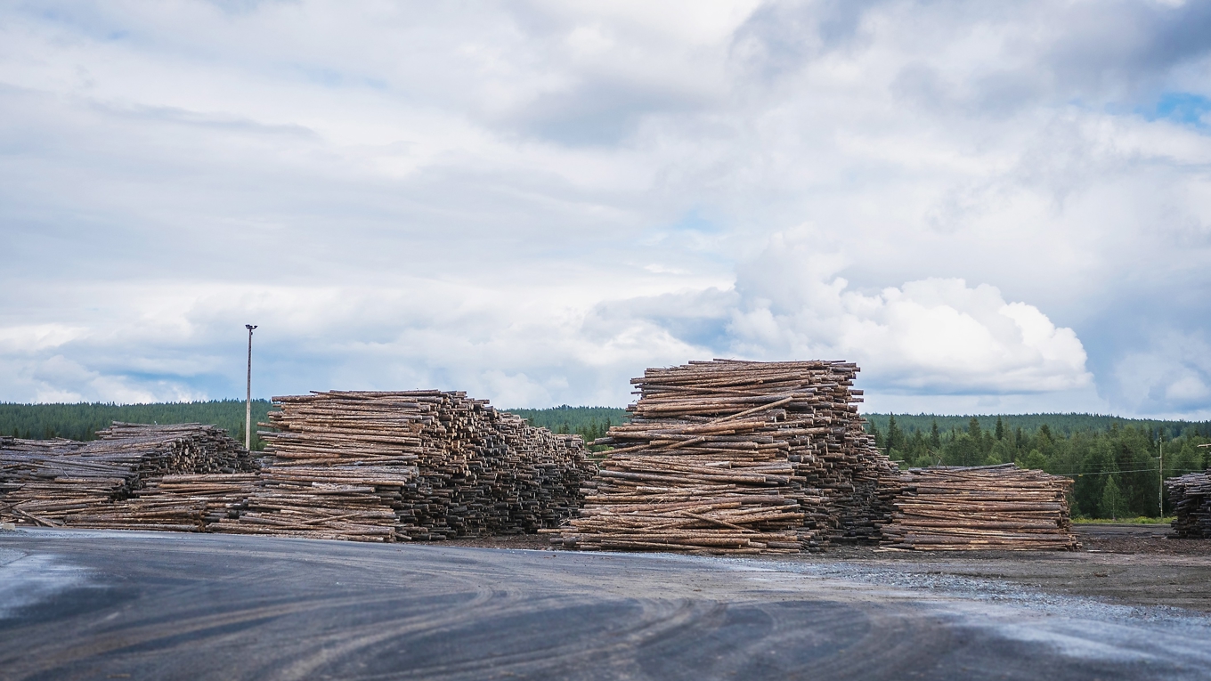 Förordningen kan öka importen från länder med sämre miljöstandarder och kommer att skada den produktion som sker i EU, skriver von Bergmann Winberg. Foto: Bilbo Lantto