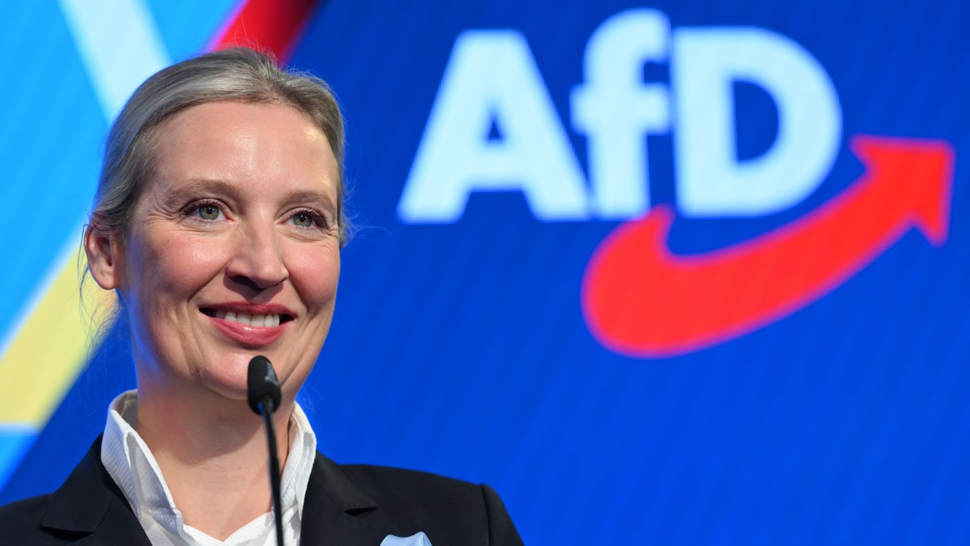 Alice Weidel, en av partiledarna för tyska partiet AFD. Foto: Soren Stache – Pool/Getty Images