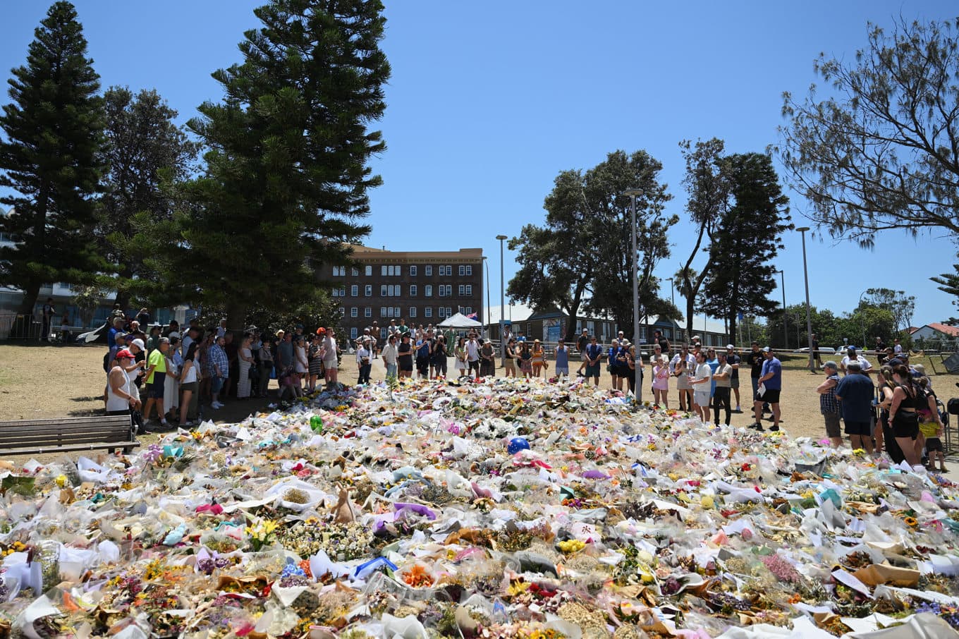 Blommor placerades ut på Bondi Beach för att hedra offren från terrorattacken den 14 december. Arkivbild. Foto: Steve Markham/AP/TT