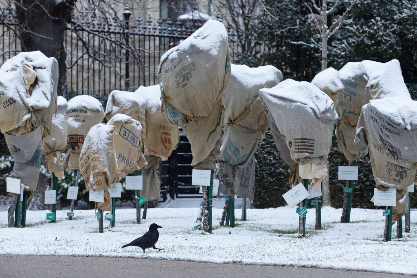 Kallt och blött i snöfallet i Österrikes huvudstad Wien. Bild från tidigare i veckan. Foto: Heinz-Peter Bader/AP/TT