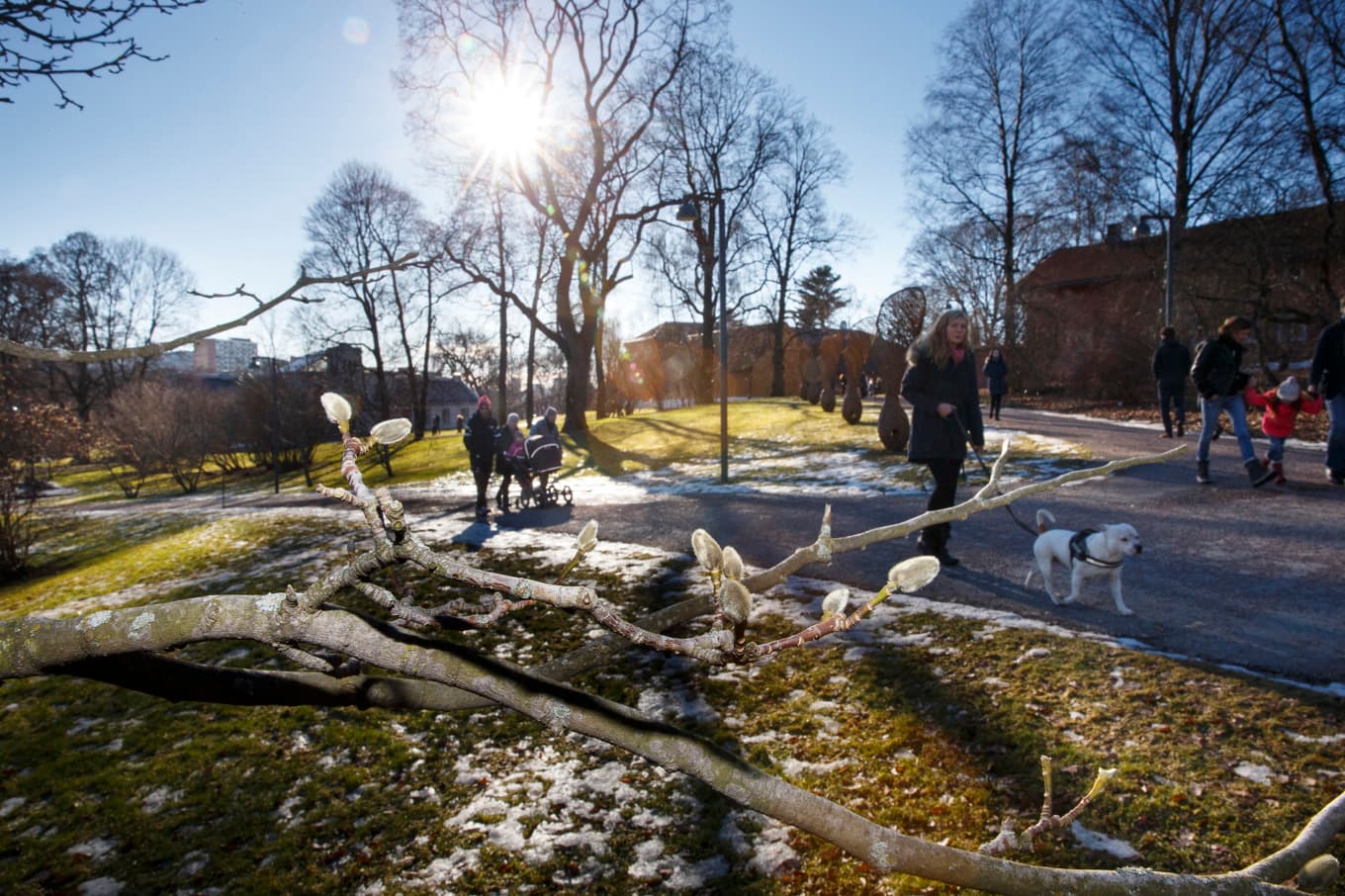 Våren är här – åtminstone i de södra delarna av landet. Arkivbild. Foto: Heiko Junge/NTB Scanpix/TT