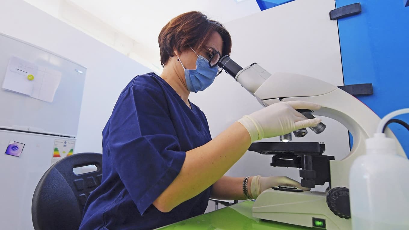 Ny forskning visar att kvinnliga forskare har förtur vid ansökan om forskningsanslag motsvarande fem procent. Foto: Fethi Belaid/AFP via Getty Images