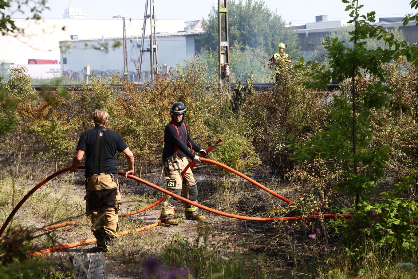 SMHI larmar om risker för gräsbränder under lördagen och söndagen. Arkivbild. Foto: Jeppe Gustafsson / TT