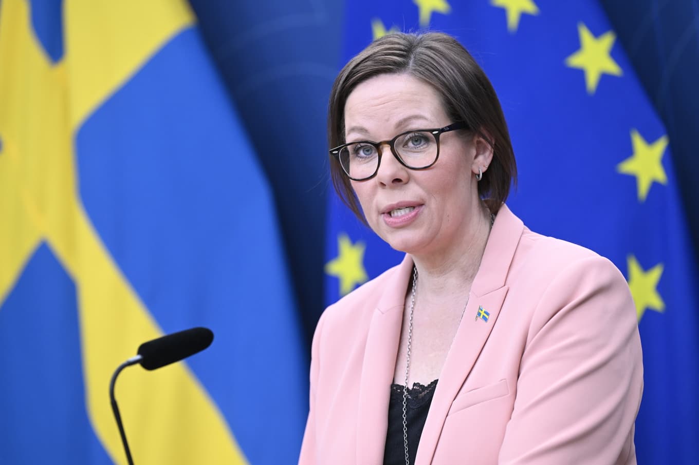 Utrikesminister Maria Malmer Stenergard (M). Arkivbild. Foto: Jessica Gow/TT