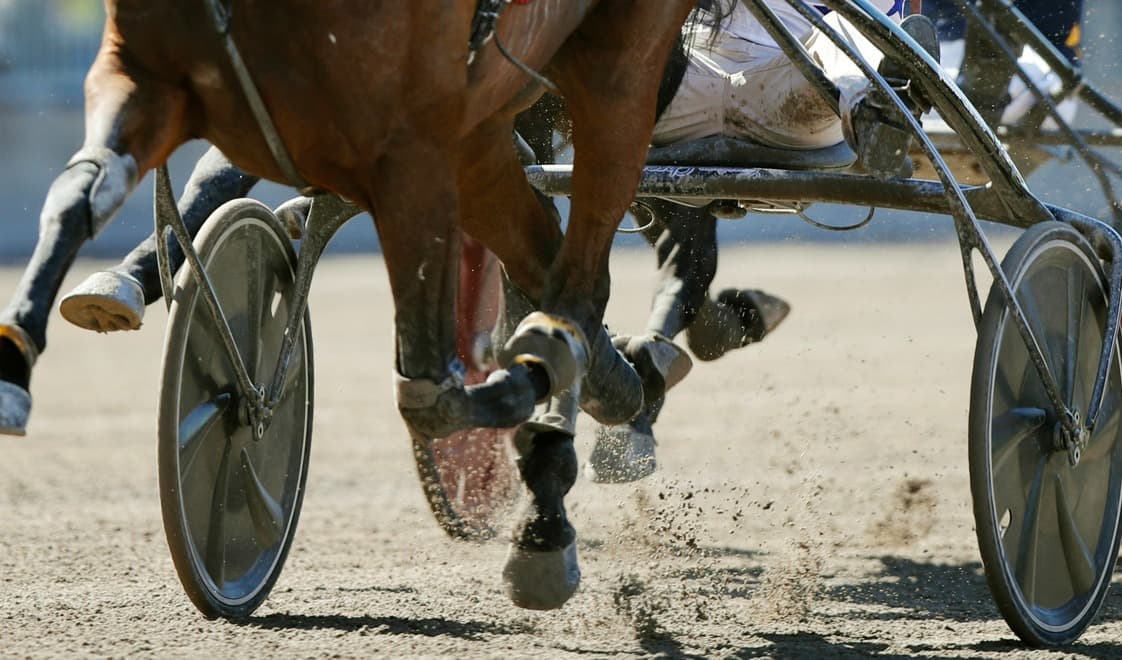 Startspåret kan vara viktigt. Foto: Caisa Rasmussen/TT