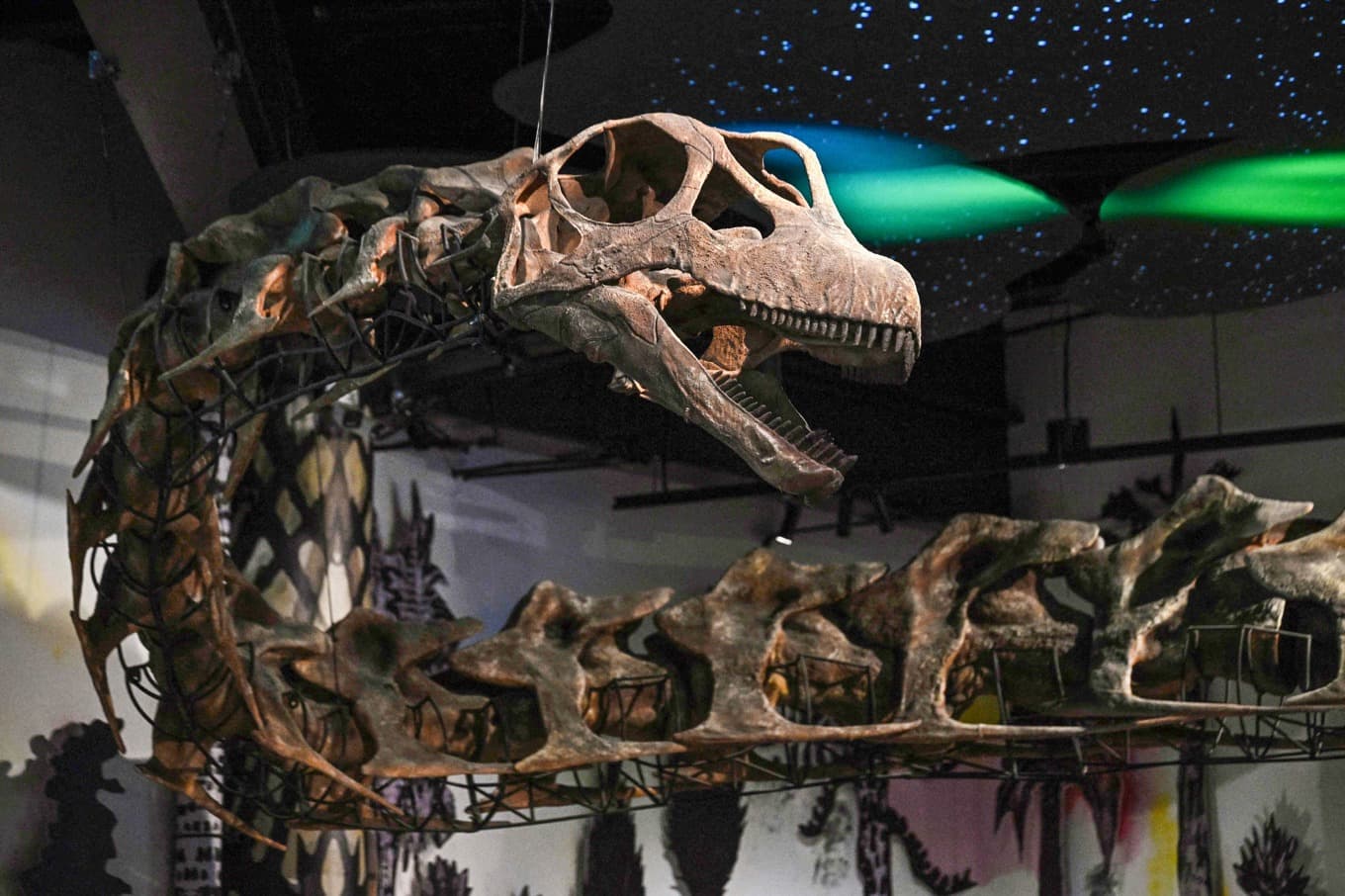 En fossil replika av Nagatian chaiyaphumensis ställs ut på muséet Thainosaur i Bangkok. Foto: Lillian Suwanrumpha/AFP/TT