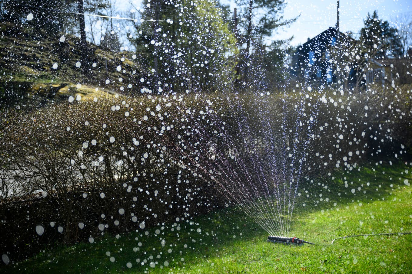 En förstärkt uppmaning om att spara vatten riktas till boende i västra Skåne. Trots tidigare varningar har inte vattenförbrukningen gått ner. Arkivbild. Foto: Henrik Montgomery/TT