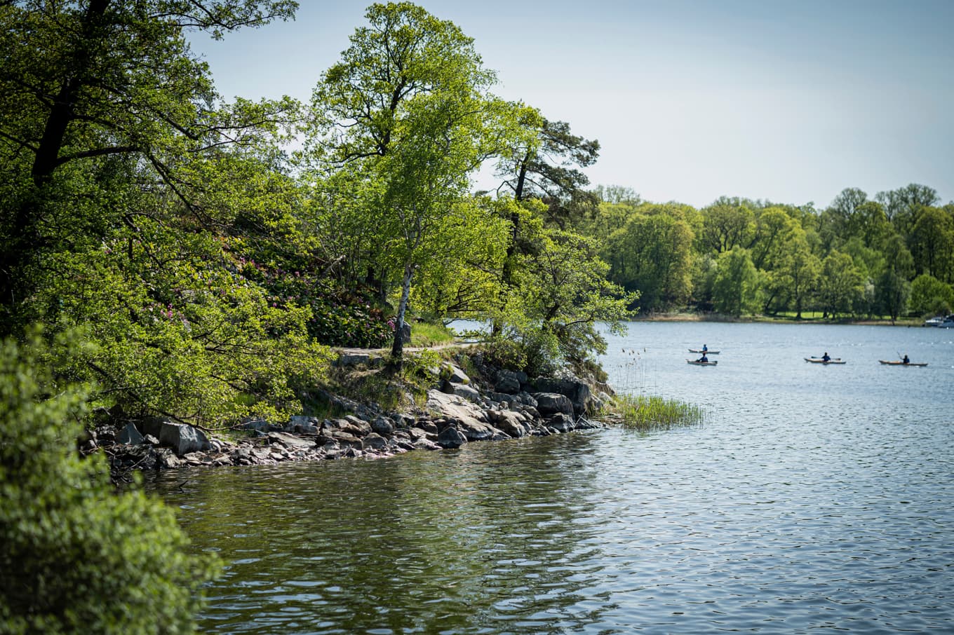 Kreativitet kräver rörelse och att man tänker på något dygnet runt. Hjärnan får nya intryck genom miljöombyte, skriver Ulf Berlin. Foto: Sofia Drevemo