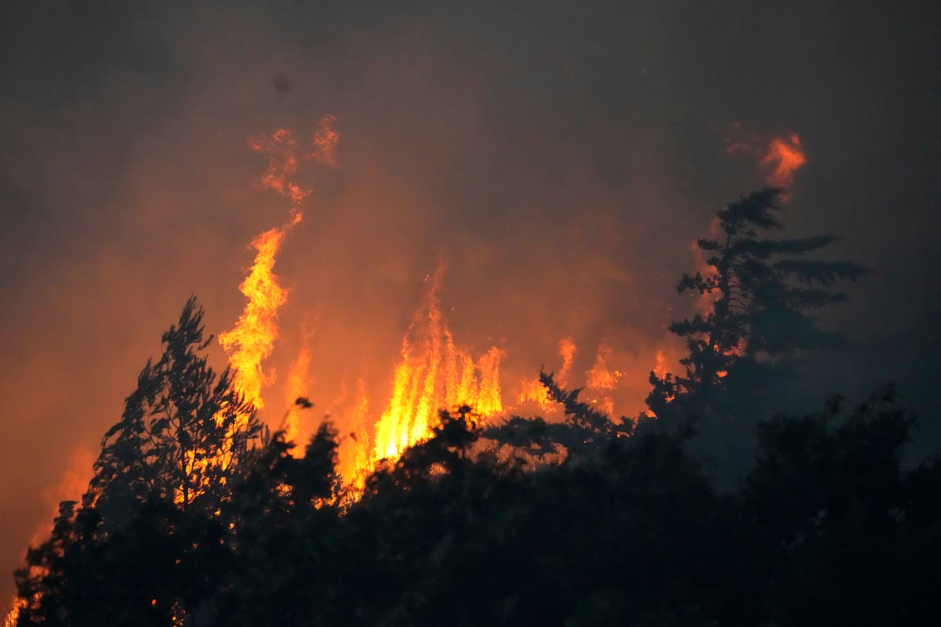 En terrängbrand i Portugal bekämpas av cirka 1 100 brandmän. Arkivbild. Foto: Armando Franca/AP/TT
