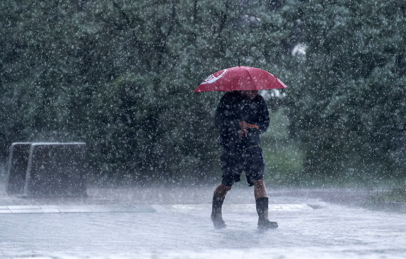 SMHI varnar för skyfallsliknande regn. Arkivbild. Foto: Johan Nilsson/TT