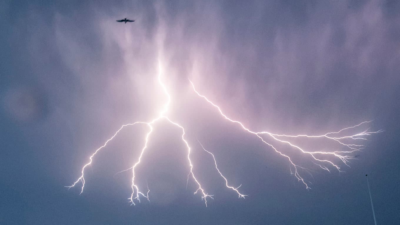 Ett åskoväder har dragit in över landet. Arkivbild. Foto: Johan Nilsson/TT
