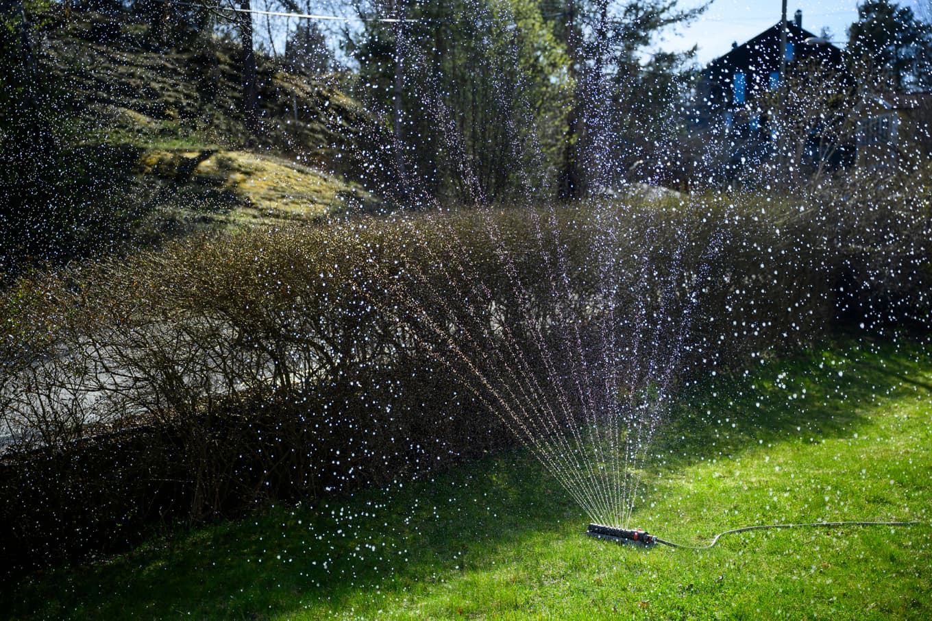 SMHI i samarbete med SGU har meddelat risk för vattenbrist i totalt elva län i södra Sverige. Bristen kan hålla i sig under några veckor. Arkivbild. Foto: Henrik Montgomery/TT