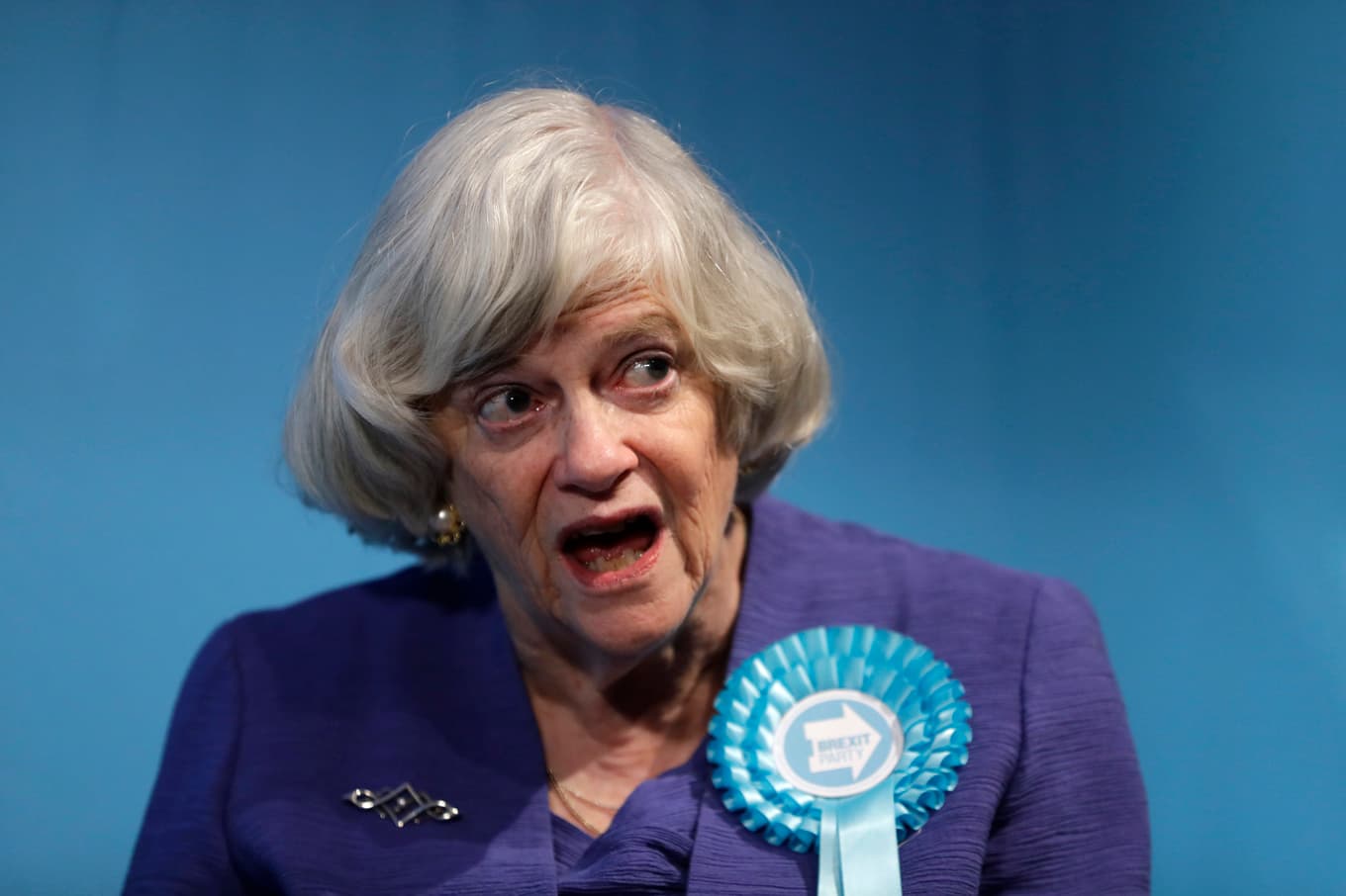 Ann Widdecombe. Arkivbild. Foto: Kirsty Wigglesworth/AP/TT
