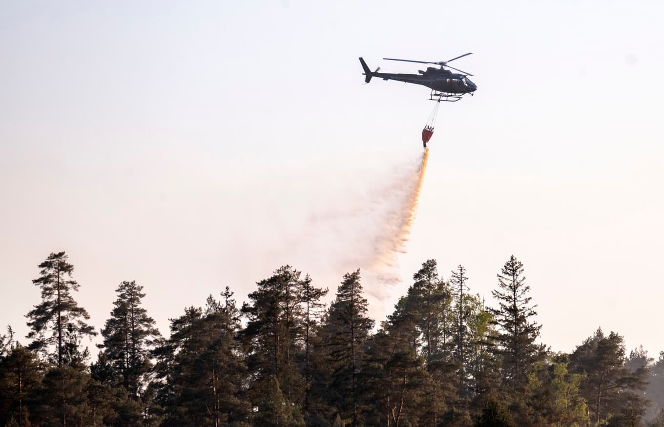 Till helgen kan brandrisken komma att minska. Arkivbild. Foto: Johan Nilsson/TT