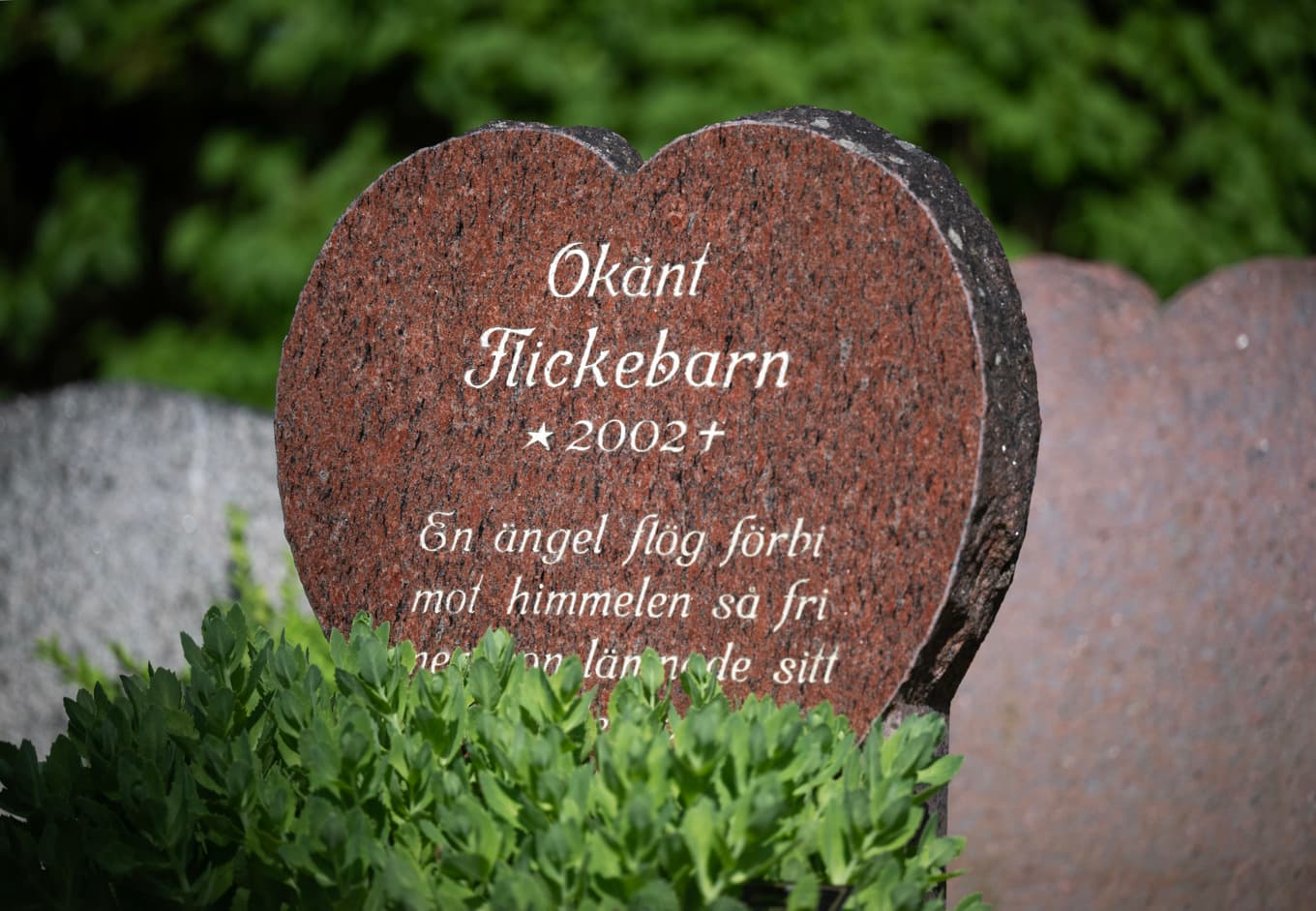 Den flicka som hittades död i en gångtunnel 2002 ligger begravd i Kungsängen. Foto: Fredrik Sandberg/TT