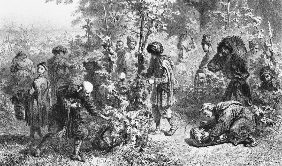 Vinskörd i Georgien, skildrad av Grigorij Grigorjevitj Gagarin (1810–1893). Foto: New York Public Library/Wikimedia Commons