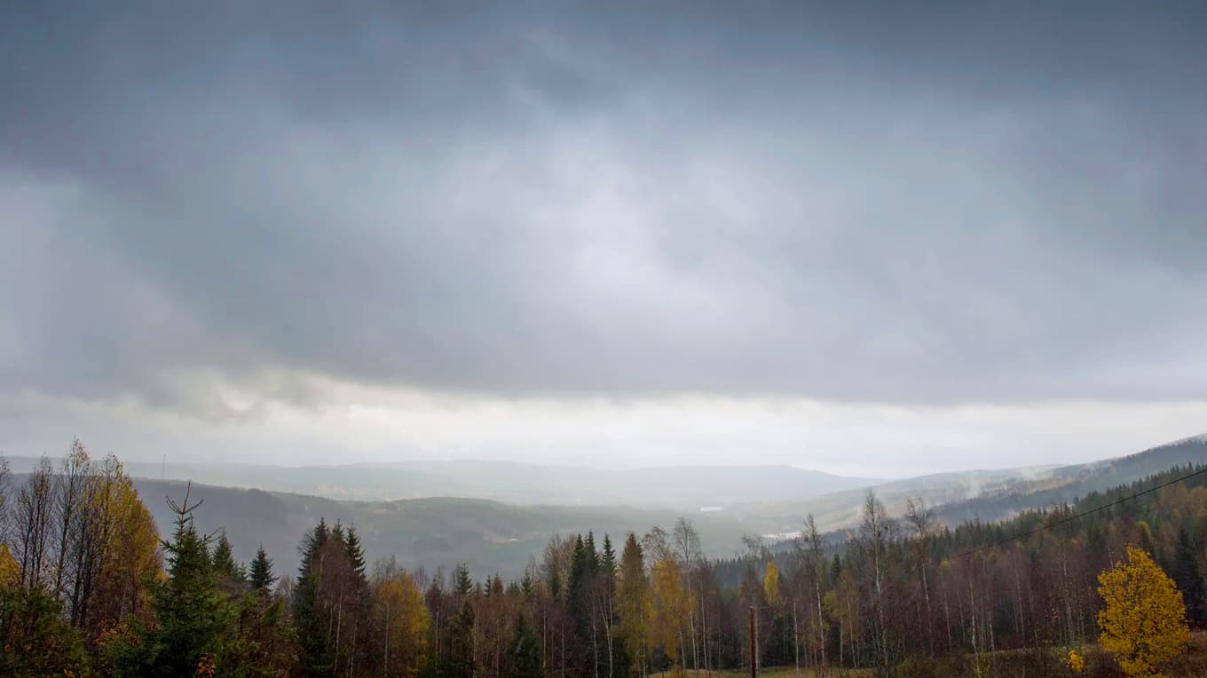 Tidigare har kunskapen om Finnskogens tidiga befolkning främst baserats på skriftliga källor, och få arkeologiska undersökningar har gjorts. Foto: Lars Sjöqvist