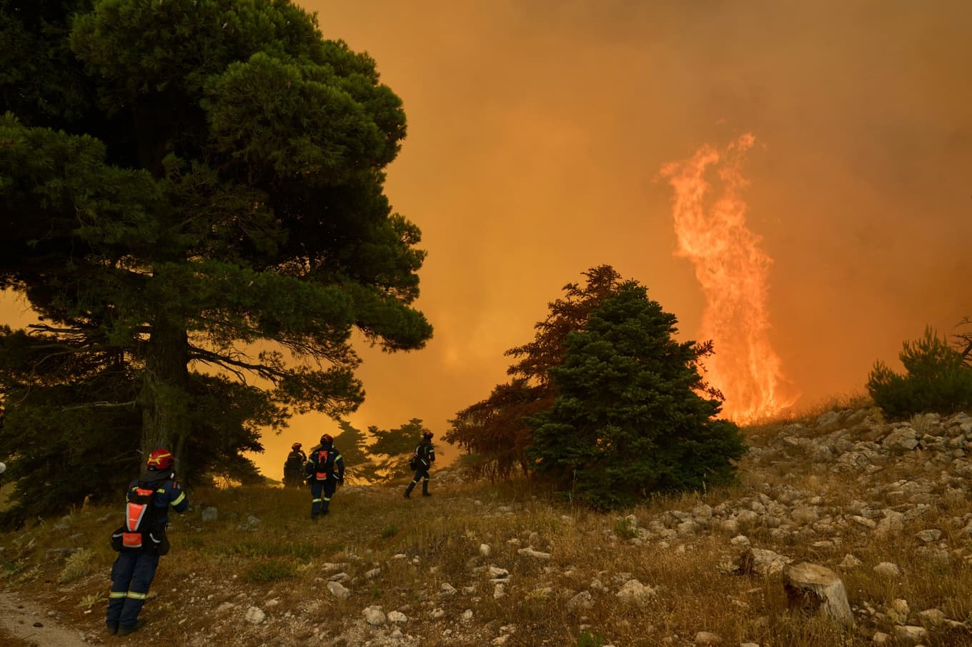 Brandmän kämpar mot lågorna på berget Kithairon, nordväst om Aten i Grekland. Foto: Petros Giannakouris /AP/TT