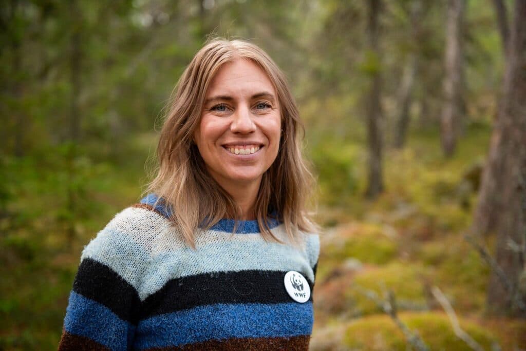 ”Jag tror att allmänhetens engagemang för igelkotten beror på att den är gullig och väldigt speciell med sina taggar och att den lever nära oss människor”, säger Jessica Ångström på WWF. Foto: WWF