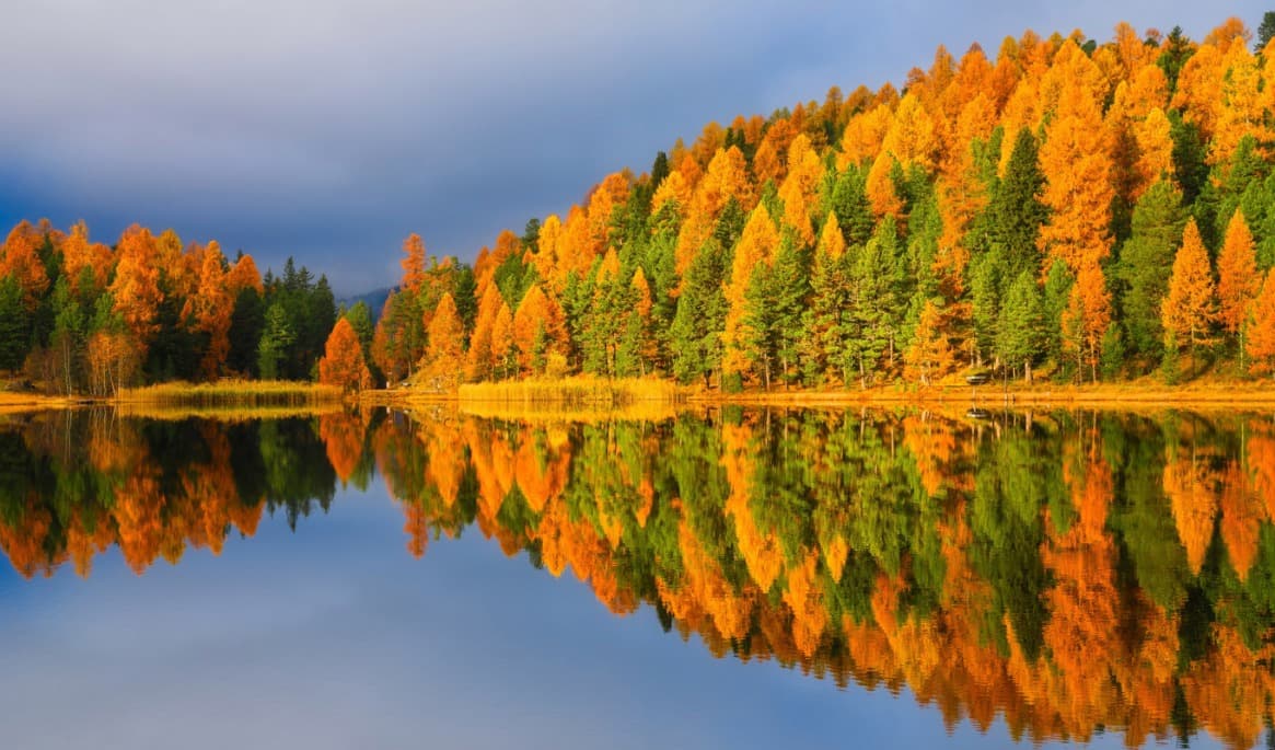 Hösten är som en andra vår där varje löv är en blomma (Albert Camus). Vi får tid att reflektera och förändra det som vi förmår och behöver. Foto: Shutterstock