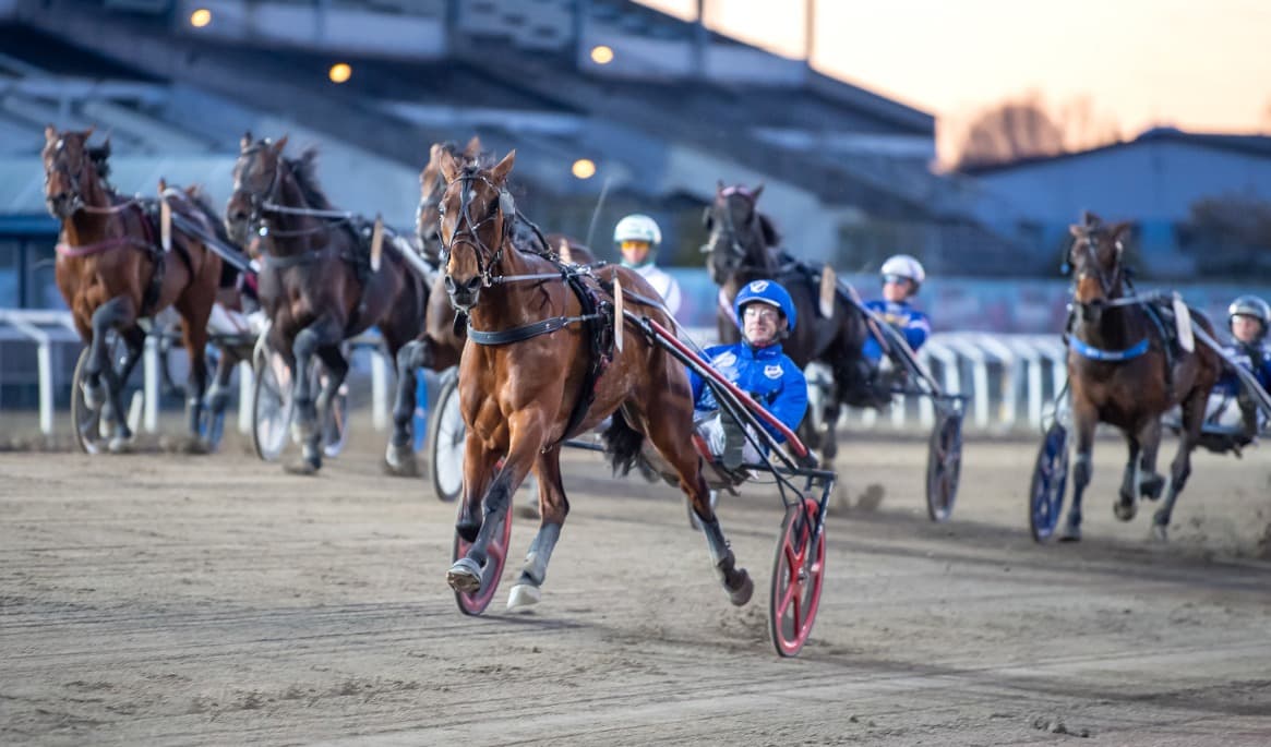 Nilla Lane har vunnit 14 segrar av 16 försök från ledning på svensk mark och blir ett av Epoch Times singelstreck på lördagen. Foto: Mikael Rosenquist / TR Bild .