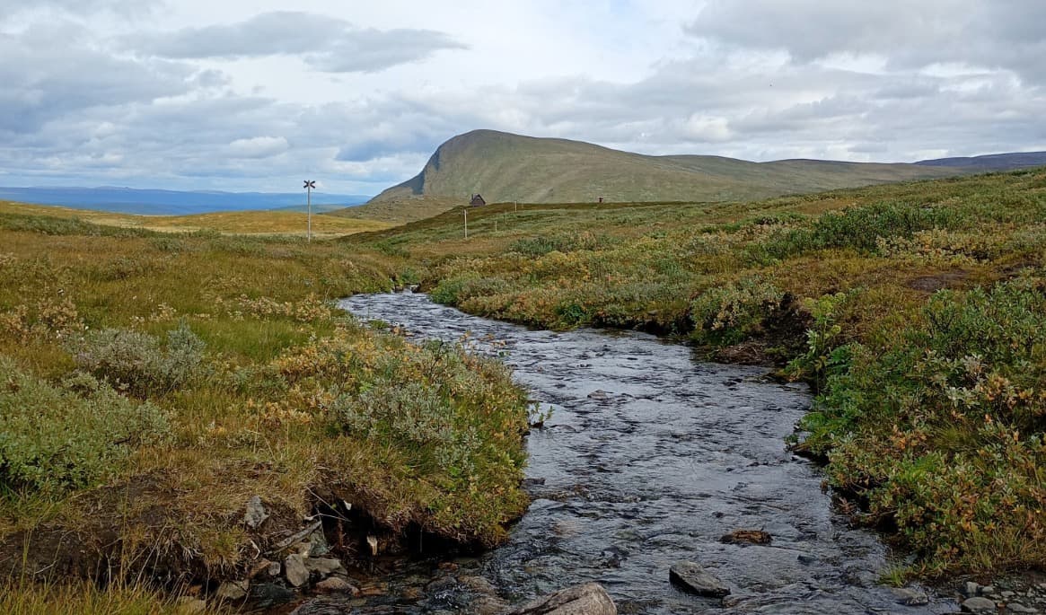Fjällvy i Vindelfjällens naturreservat, som är Sveriges största naturreservat. Foto: Eva Sagerfors