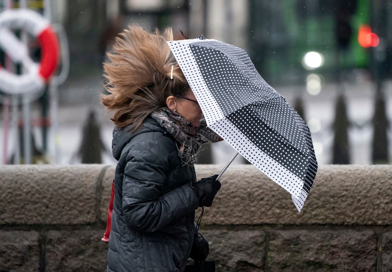 Det blir blåsigt i östra Svealand under fredagen. Arkivbild. Foto: Johan Nilsson/TT