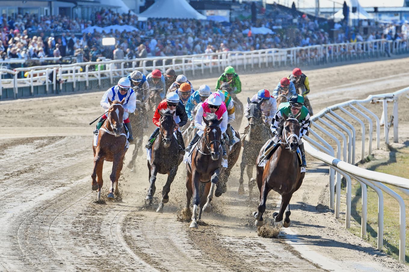 Det svenska galoppderbyt har ridits på Jägersro i alla år sedan 1918. Den 18 juli 2027 rids Svenskt Derby på banan för sista gången. Foto: Stefan Olsson/Svensk Galopp