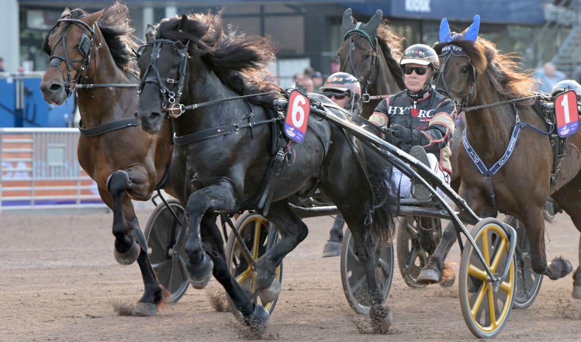 Det norska kallblodet Gigant Tider är omgångens bästa spik, enligt Epoch Times travkrönikör. Foto: Lars Jakobsson / TR Media Bild