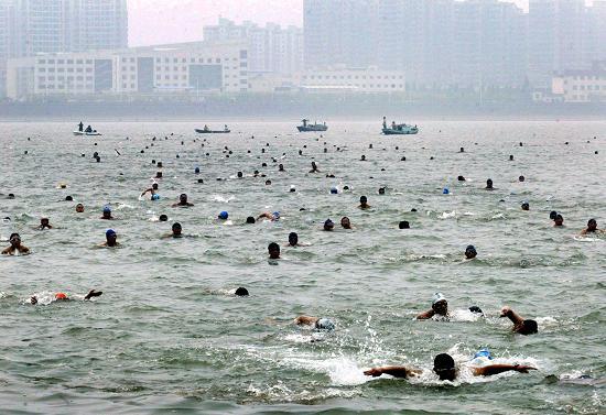 Sex hundra invånare i Hangzhou, provinshuvudstad i Zhejiang i östra Kina, simmar över Qiantangfloden den 22 juli 2006. De senaste två veckorna har man fiskat upp nästan lika många döda grisar ur floden, som tillgodoser runt fyra miljoner människor i staden med dricksvatten. (Foto: China Out AFP PHOTO/ Eyepress)