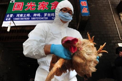 Kinesiska myndigheter bekräftade den 27 januari två fall där H7N9 spridits mellan människor. (Foto: China Out AFP)
