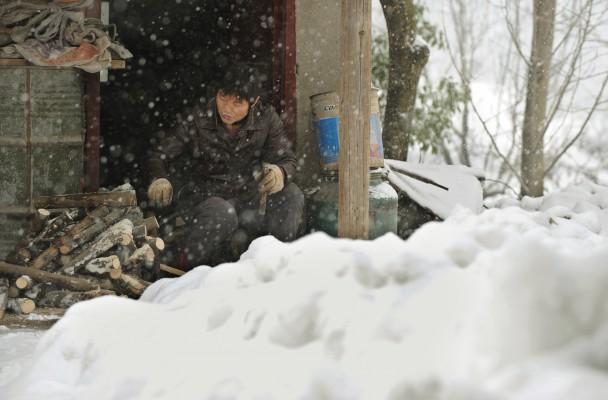 En kines hämtar in ved den 1 februari, samtidigt som snön fortsätter att falla. Byn är Zhangjia i Anhuiprovinsen, nära gränsen till Jiangsuprovinsen. Det svåra vädret har lett till evakuering av uppemot två miljoner invånare. (AFP PHOTO/Mark RALSTON)