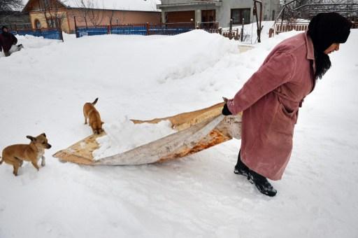 En kvinna bär bort snö utanför sitt hem i byn Smeeni, cirka 100 kilometer öster om Bukarest den 28 januari. Ett tjockt täcke av snö lade sig över södra och östra Rumänien och orsakade stängning av tre motorvägar, inställda järnvägsförbindelser och störningar i flygtrafiken. (Foto: Daniel Mihăilescu/ Topshots/AFP)
