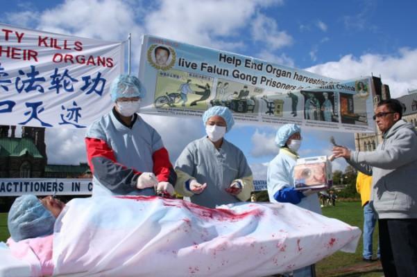 Det här arkivfotot från 2008 visar en dramatisering under en demonstration i Ottawa, Kanada, av hur Falun Gong-utövares organ skördas i Kina.