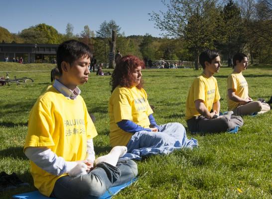 Utövare i Väst-Sverige firade den Internationella Falun Dafa-dagen i Slottsskogen, Göteborg, på fredagen. (Foto: Anders Eriksson)
