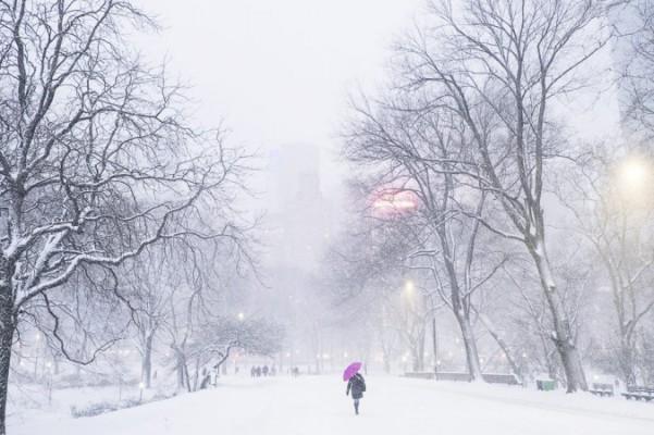 Central Park under snöstormen Juno i New York den 26 januari 2015. (Med tillstånd av Annie Zhuo / NTD Television)
