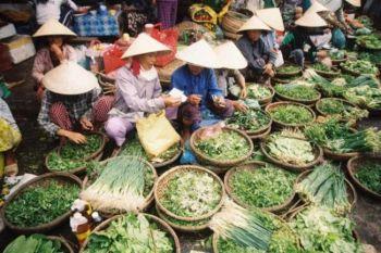 Båtar fyllda med grönsaker på den flytande marknaden i Hoi An. (Foton: Bernd Kregel)
