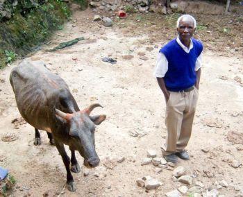 Abel Thomas Simwaba, en 83-årig man i Tanzania har fått två kor som gåva av en Epoch Times-läsare i Kalifornien. (Foto: Ondrej Horecky / Epoch Times)

