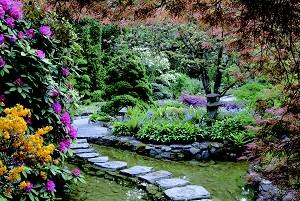 Vårprakt – Stenar bildar en gång igenom den grunda dammen i den japanska trädgården. (Foto: © 2006 The Butchart Gardens)