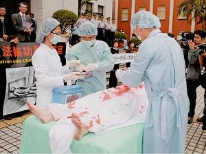 Offentlig fingerad demonstration av hur en organtransplantation kan gå till. (Foto: Epoch Times)
