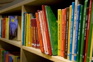 Böcker i ett skolbibliotet. (Foto: Sofia Partanen/Epoch Times) 