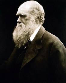 Charles Darwin, skaparen av evolutionsteorin (Foto: Mansell/Time Life Pictures/Getty Images)